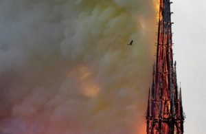 2019-04-16_08-04-56___8204