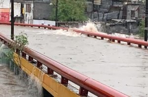 cropw0h0arroyo2