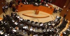 senado
