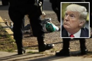 Trump carteles