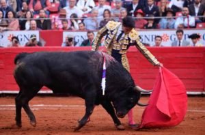 toros