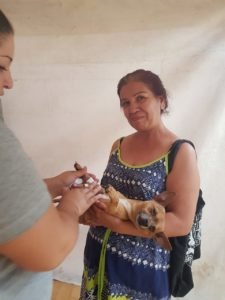 ESTERILIZACIÓN (2)