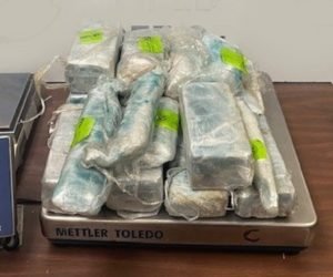 _15.10 kg Meth, HID, 03022020, courtesy CBP Hidalgo