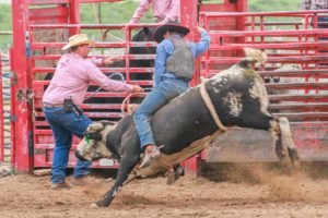 rodeo