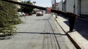 VIENTOS (6)