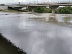 PUENTE..