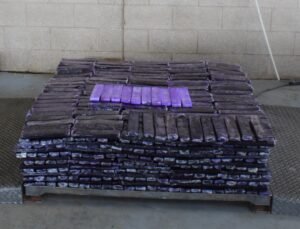 365 kg Meth, IL, 08042020,.1.courtesy CBP Hidalgo