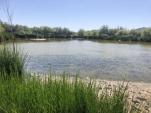 img_8978_jburnett1