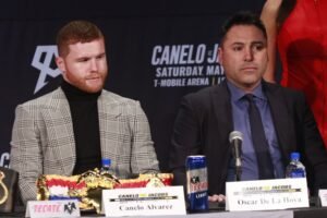 alvarez y de la hoya