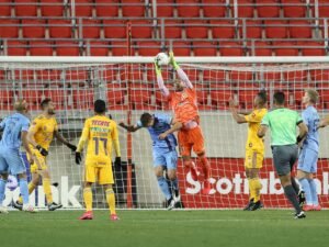 TIGRES 1