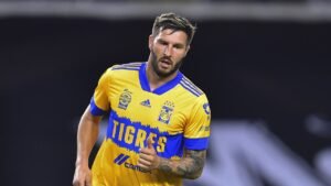 TIGRES 8