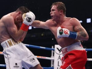canelo 2