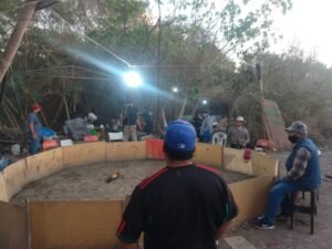 IMG-20210130-WA0018