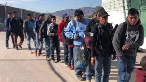 migrantes