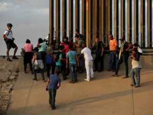 migrantes 345