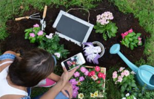 5 gadgets que harán más funcional a tu jardín