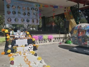 IMG_20211031_121829