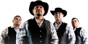 Los Palominos