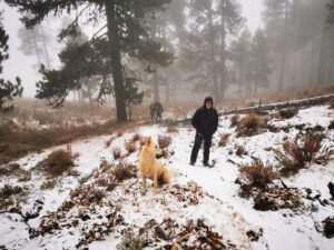 IMG-20211219-WA0014