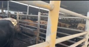Screenshot_20220616-113551_Facebook~2