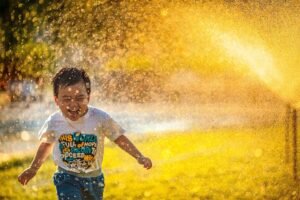 Seguro de Vida unsplash