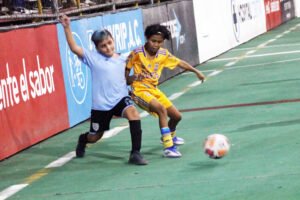 ACCIONES BOTANEROS (playera celeste) vs TIGRES PREMIER