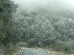 IMG-20221223-WA0207