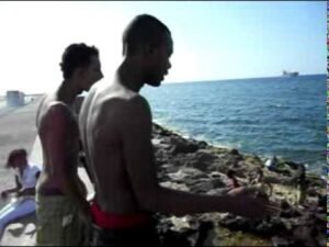 images (1)