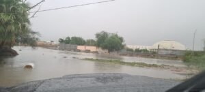 IMG-20250328-WA0099