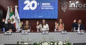 20 Sesión Ordinaria del Pleno