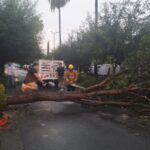 En Escobedo lluvias, viento y granizo activa los protocolos de emergencia