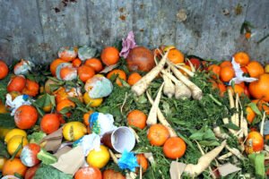 food_waste_marinakelava