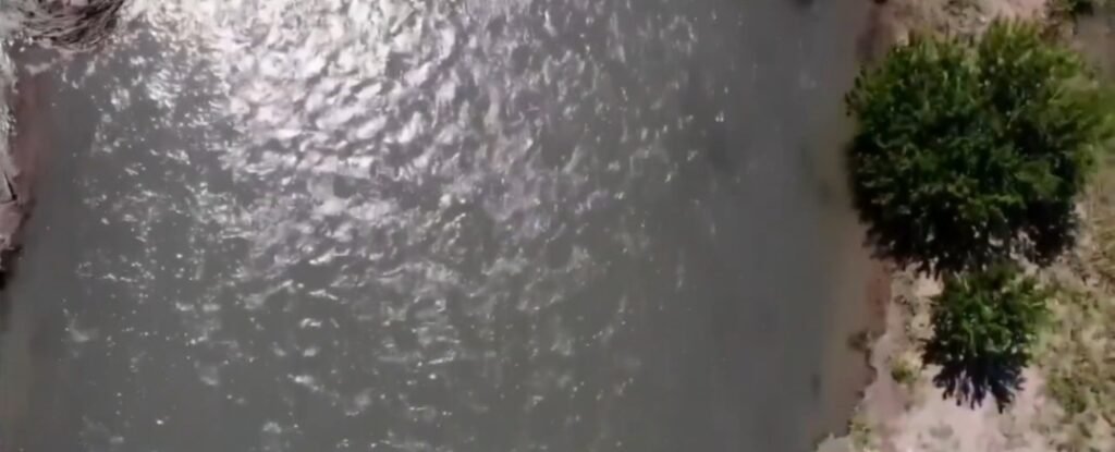Screenshot_20261030_231132_com_google_android_youtube_MainActivity_edit_188284704041820
