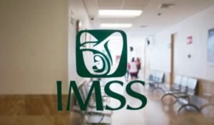 imss-registro-trabajadoras-del-hogar.jpg_1766184106_edit_168584625337460