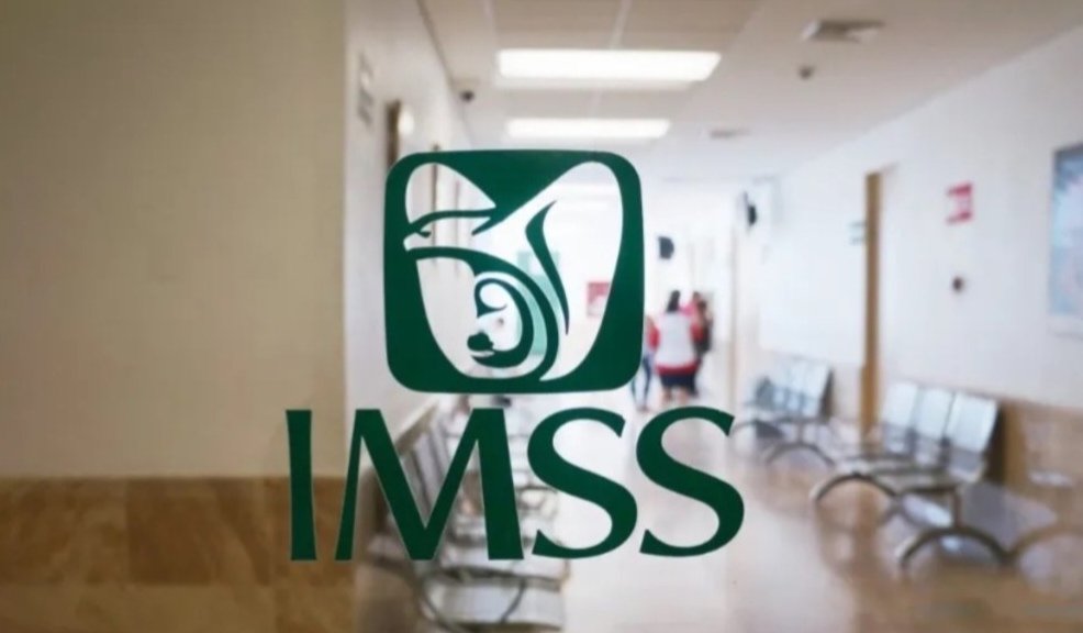 imss-registro-trabajadoras-del-hogar.jpg_1766184106_edit_168584625337460